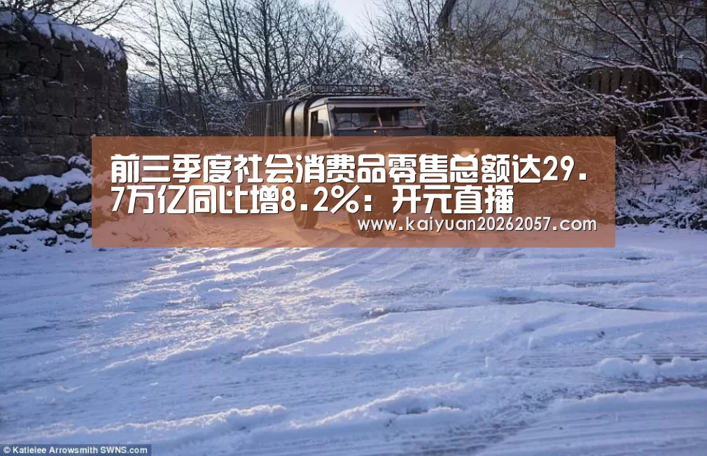前三季度社会消费品零售总额达29.7万亿同比增8.2%:开元直播(图1) 开元直播