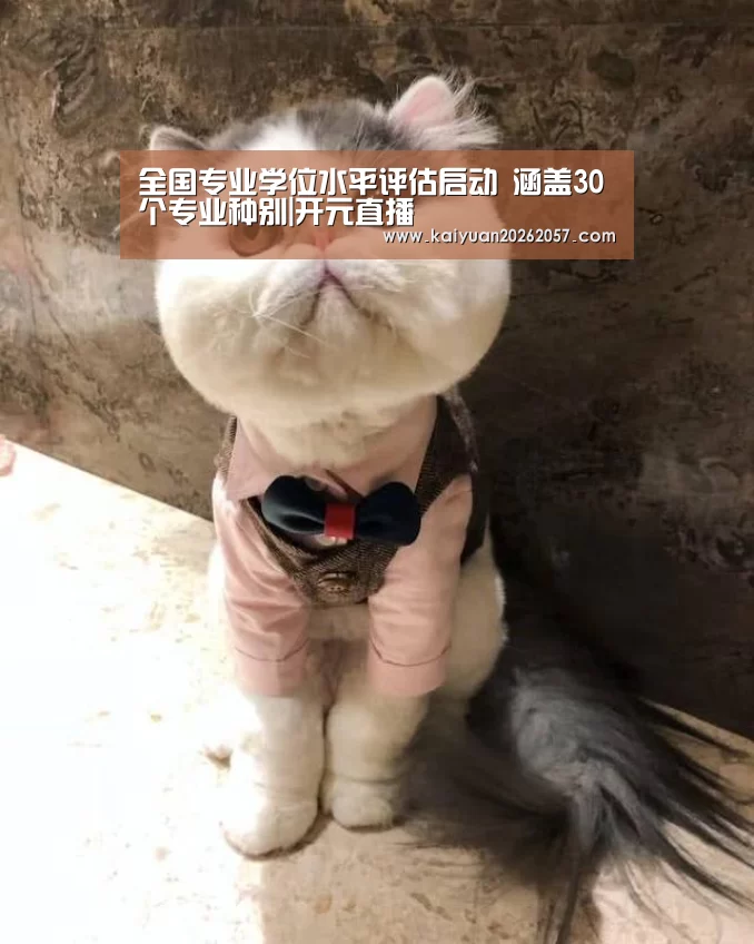 全国专业学位水平评估启动 涵盖30个专业种别|开元直播(图3) 开元真人